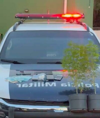 Imagem da notícia Em Chapadão do Sul, homem é preso após polícia encontrar dois pé de maconha na casa dele